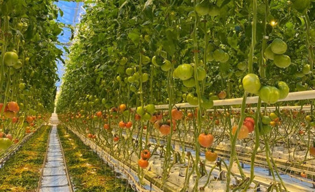 До 30% скла вибито, кілька дерев зрізало снарядами — як працюють УТК та Уманська фруктова компанія