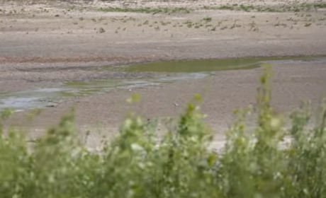 «Великий Луг відроджується» : друга весна колишнього Каховського водосховища