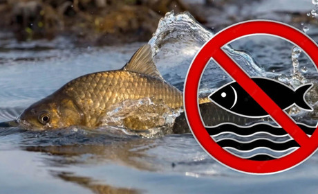 На Сумщині з 1 квітня діятиме весняно-літня заборона на рибальство: що варто знати?