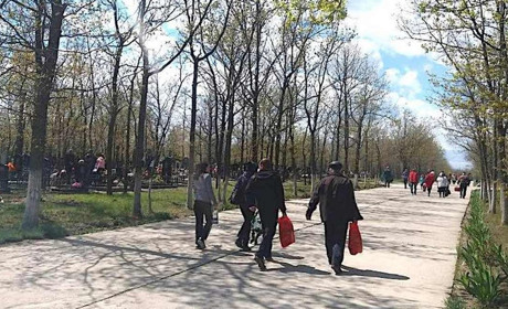 Почем стоит похоронить: ответ власти Измаила на вопросы по кладбищу (видео)