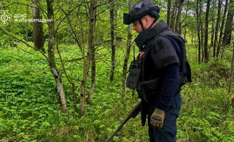 Сапери ДСНС знешкодили боєприпас, який виявили місцеві мешканці на Звягельщині