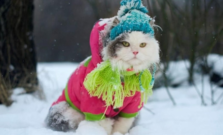 Вихідні будуть із нічними морозами: прогноз погоди на Сумщині та в Україні