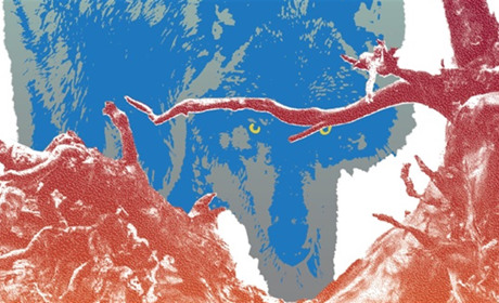 «Захист території». Фрагмент із книжки «Хижі хроніки» Марини Шквирі