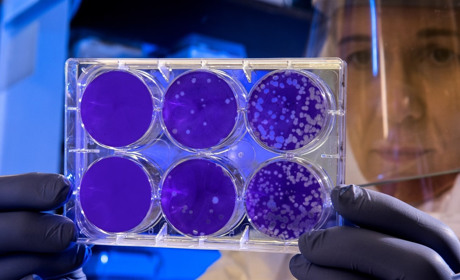 В Україні вводиться загальнонаціональний карантин. Що ще потрібно знати сватівчанам