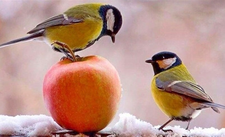 Прогноз погоди на початку наступного тижня: чого чекати жителям Сумщини та інших областей