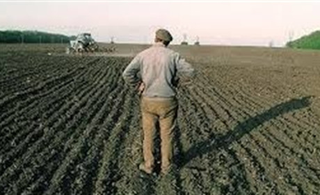 Як стати власником земельного паю