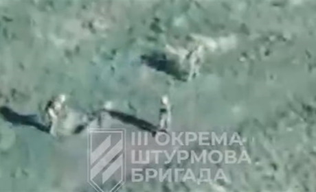 Бригада ЗСУ, яка звільняла Херсонщину, знищила половину ворожого батальйону за день (відео)