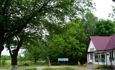 Троє підлітків підпалили 120-річний парк у Біляївці. Інші двоє підлітків - його врятували