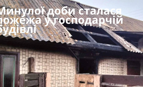 У господарчій будівлі на Звягельщині сталася пожежа