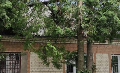 У Старокостянтинові дерево впало на дитяче відділення лікарні