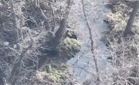 На Херсонському напрямку ЗСУ за тиждень відбили 25 ворожих штурмів