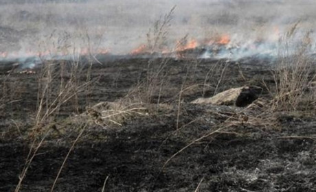 Чортківські поліціянти виявили обгоріле тіло чоловіка