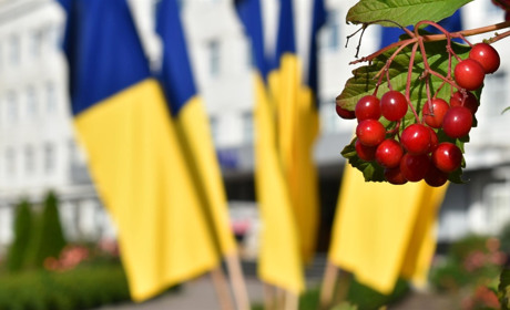 У Звягелі проведуть засідання виконкому: порядок денний