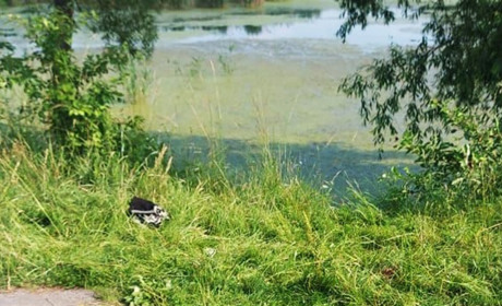 Жінка побила чоловіка та викинула його тіло у водойму: деталі кримінальної історії на Житомирщині