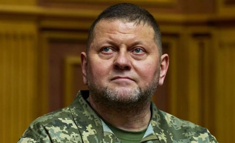 Валерія Залужного ніхто не звільняв, але ми зібрали меми про фейкове звільнення