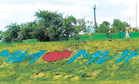 З траси Суми-Конотоп тепер видно, як місцеві люблять Миколаївку