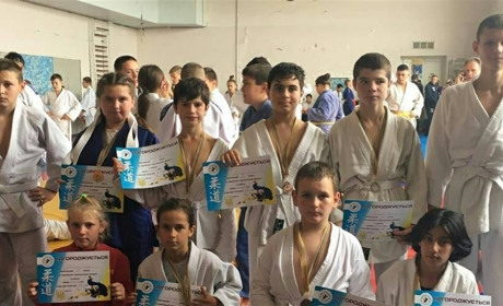 Юні дзюдоїсти Нижньосірогозької громади гідно виступили на чемпіонаті Херсонської області