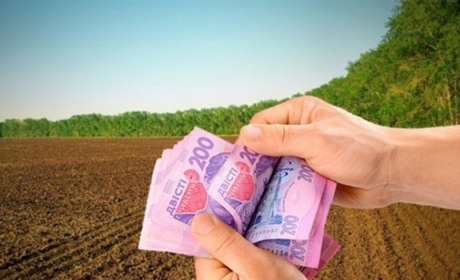 Хто може отримати пільги на сплату земельного податку на Житомирщині: подати заяву можна до 1 травня