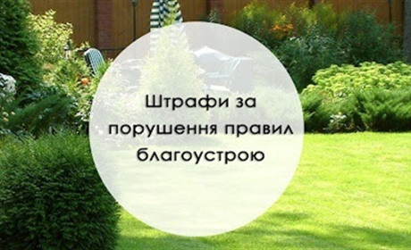 У міськраді опублікували "Правила благоустрою" та вказали штрафи за їх порушення
