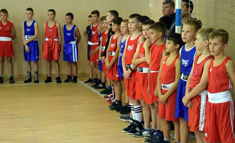 Глухівські спортсмени здобули призові місця на чемпіонаті Сумської області з боксу