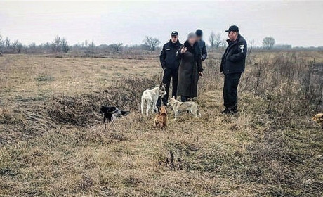 Новини міста за 13-19 січня: пожежа, підпал, будівництво та вбивство собаки