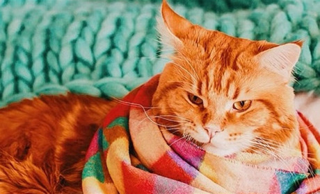 Погода на лівобережжі Херсонщини з 5 по 7 грудня: прогноз Українського гідрометеоцентру