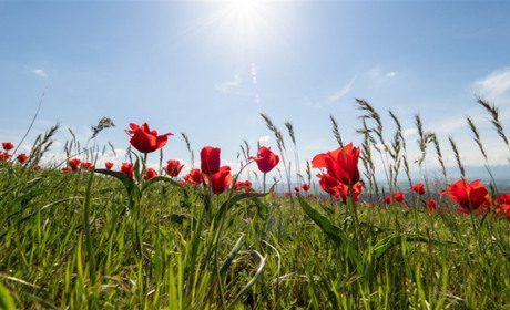 Погода на вихідні: що прогнозують синоптики на Сумщині та в Україні