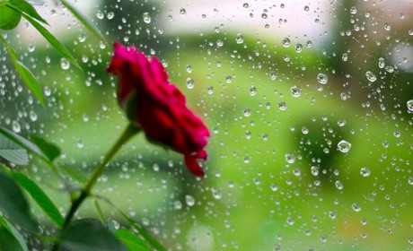 Погода у Старокостянтинові на 3-9 червня: тиждень буде теплим, проте дощитиме