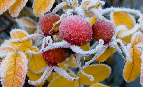 В листопаді до нас прийдуть "зимові" морози: прогнози синоптиків