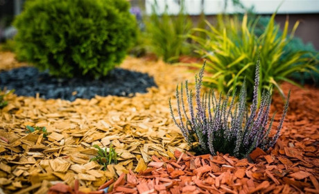 Материалы для мульчирования: назначение, виды, особенности применения