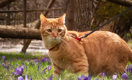 Погода на лівобережжі Херсонщини з 14 по 16 березня: прогноз Українського гідрометеоцентру