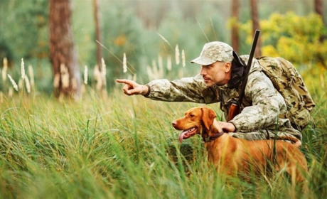 На Київщині заборонили полювання до закінчення воєнного стану