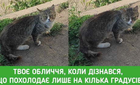 З 21 липня Первомайську обіцяють грозу та зниження температури: прогноз погоди на 3 дні