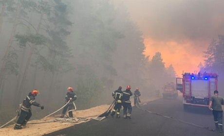 У пожежі на Новоайдарщині згоріли більше сотні будинків. Є загиблі серед людей