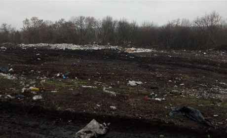 Ріжки та ніжки, або Як екоінспекція у Миколаївці виявила стихійне звалище з рештками тварин