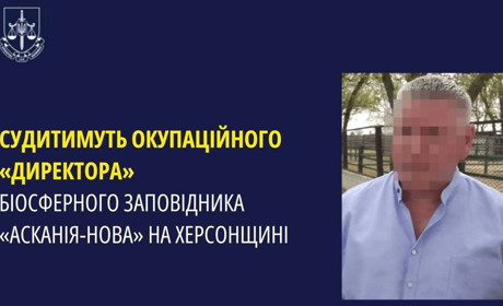 А зебри де: судитимуть окупаційного директора заповідника "Асканія-Нова"