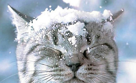 На вихідних буде невеликий туман, а з понеділка сніжитиме. Яку погоду прогнозують синоптики