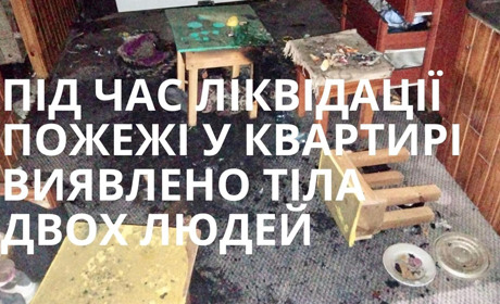 Трагедія на Звягельщині: в пожежі загинули мати та син