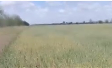 Такої посухи ще не було: на Херсонщині — надзвичайна ситуація в агросекторі