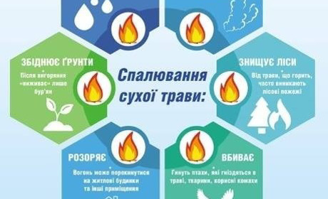 Спека може спричинити небезпеку, застерігають рятувальники 