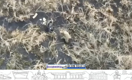 У Вараському районі прикордонники дроном знайшли блукачів