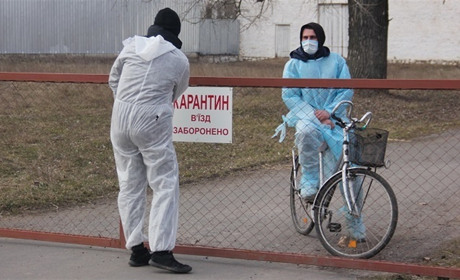 У Пикові спалах африканської чуми свиней:у місцевому господарстві знищать все поголів’я свиней