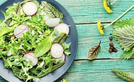 Не бур’ян, а делікатес: їстівні дикороси весни