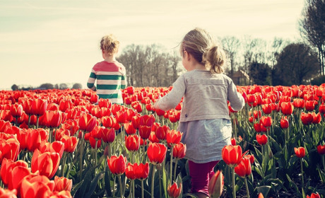 Якою буде погода у Сватовому і районі в останні дні квітня та перші дні травня 2020