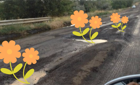 Ямам - квіти: організатори нагадують про акцію на трасі Біляївка-Теплодар. Це 3-го листопада