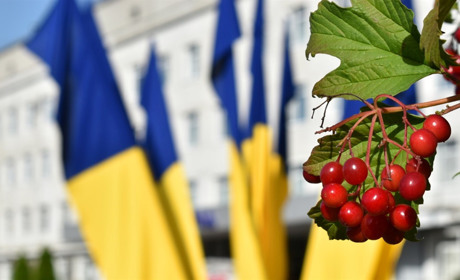 Посадовці міськради проведуть прямі етери, де звітуватимуть про роботу виконавчих органів Звягеля