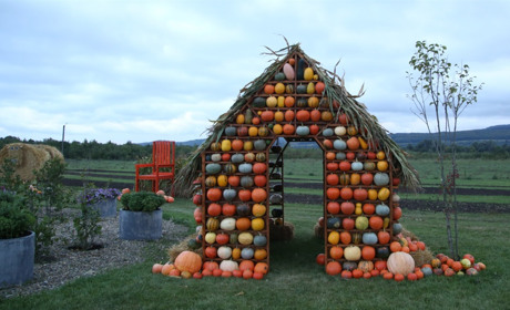 У Мамаївцях відкрили осінню "Виставку гарбузів" із яскравими фотозонами