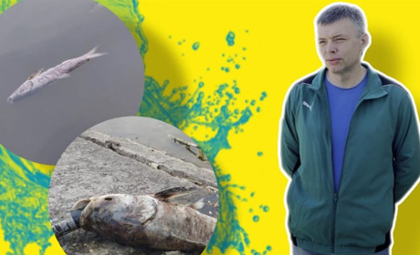 Чому загинула риба на Веселій Іванівці: пояснення рибалок