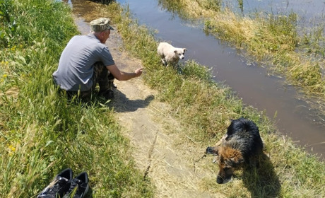 Як рятували тварин від великої води