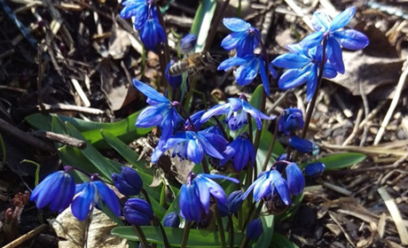 Якою буде погода у Сватовому і районі з 8 по 14 квітня